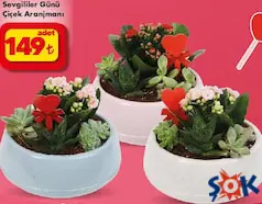 SEVGİLİLER GÜNÜ ÇİÇEK ARANJMANI